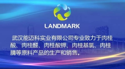 �人�������������޹�˾