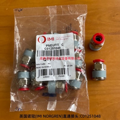 Ӣ��ŵ��PNEUFIT-C���ʽ��ͷ
